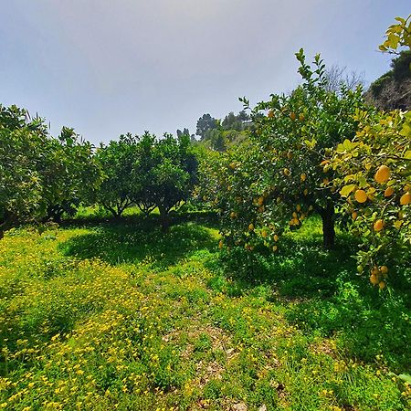 Villa Tommaso Maruggi, Sicilia, Con Jacuzzi E Piscina Privata Alcamo Dış mekan fotoğraf